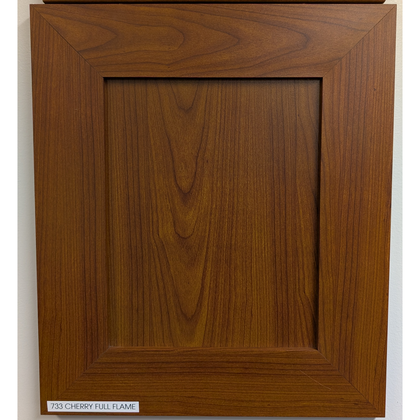 Sample Door 10 x 10
